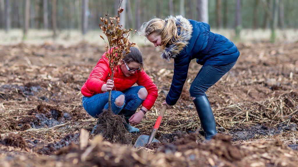 Lierop boomplantdag (8).jpg - Lierop boomplantdag